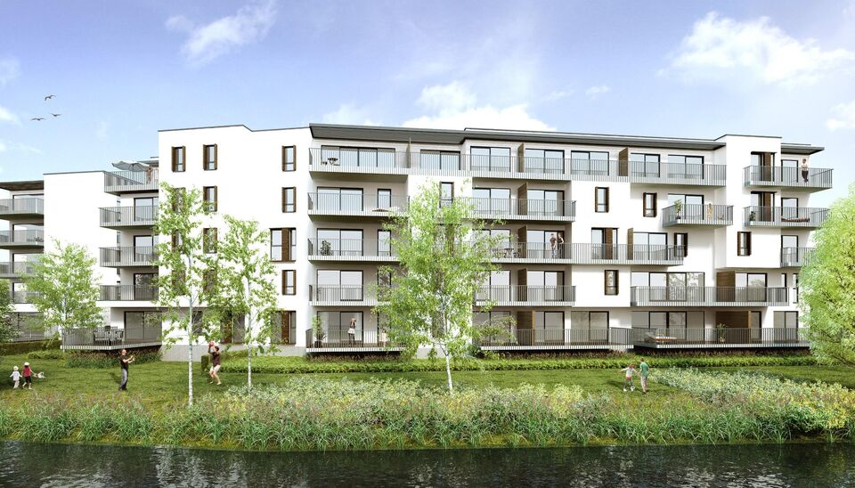 Project 'Rundskop' in Beringen Koersel