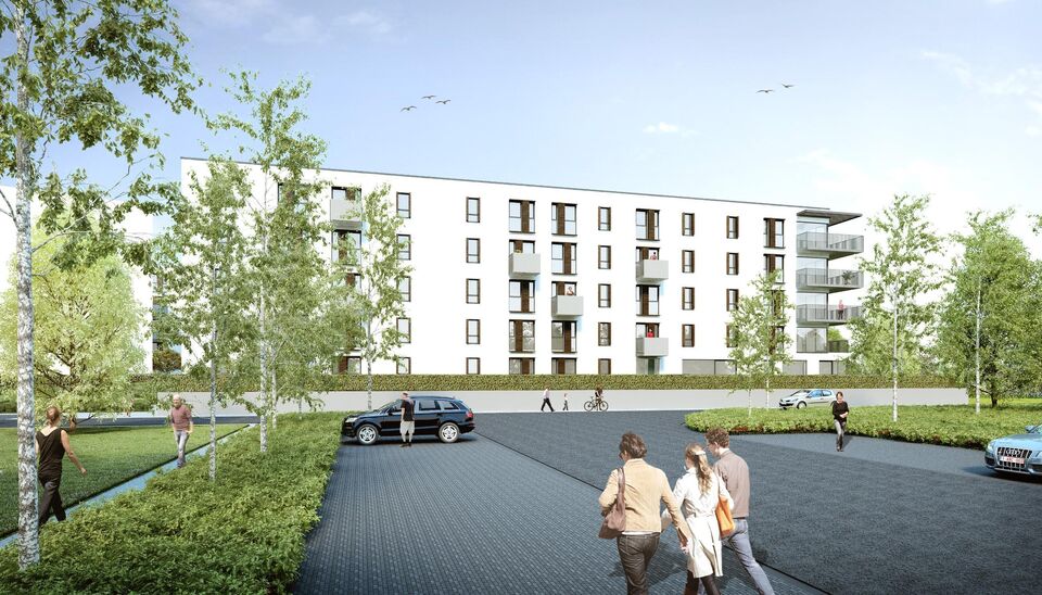 Project 'Rundskop' in Beringen Koersel