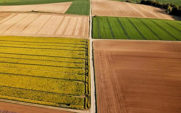 Velden te koop in Kortrijk