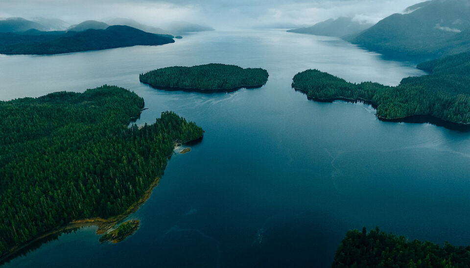 Dit is de advertentietekst