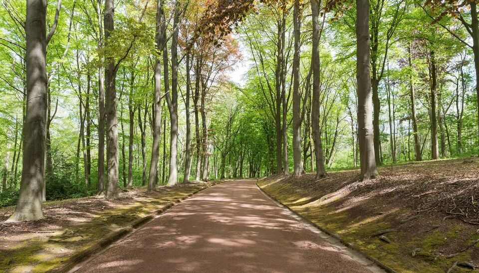 Gebouw voor gemengd gebruik te koop in Ottignies-Louvain-la-Neuve
